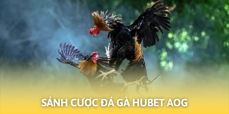 AOG rất nổi tiếng trên trang cá cược