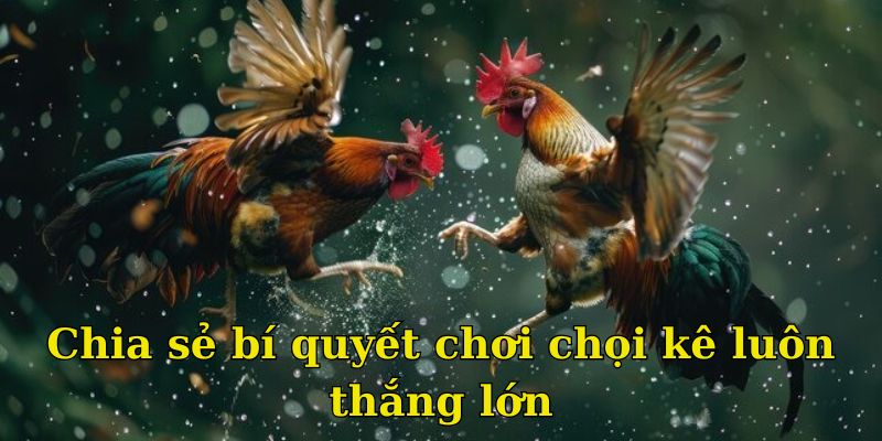 Bật mí bí kíp chinh phục game chọi kê