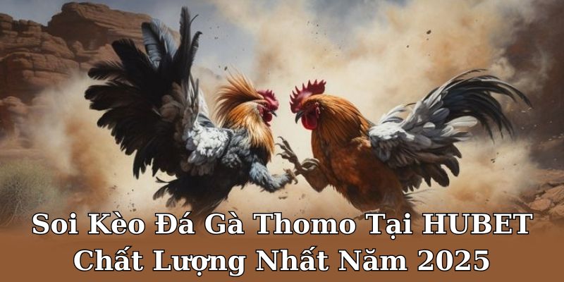 Soi Kèo Đá Gà Thomo